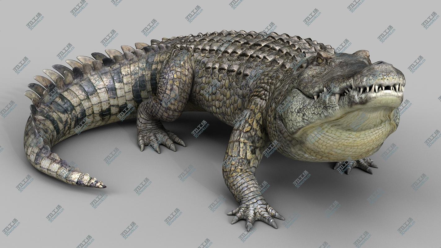 images/goods_img/20210313/3D model Crocodile Pro/2.jpg